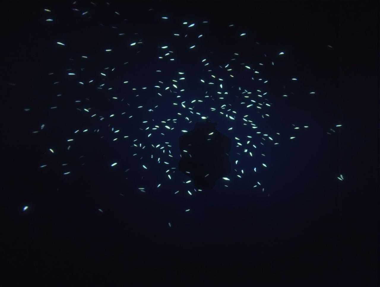 深海探秘 - 4K纪录片剧照